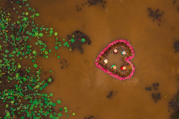 Aerial heart-shaped ring of water lilies surrounding workers in the Mekong’s brown water, with green pads scattered nearby.