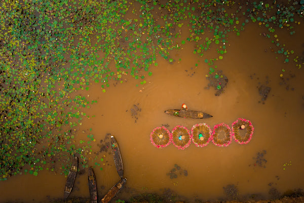 Top-down view of five circular garlands of pink water lilies arranged on brown river water, with boats and green pads along the edge.