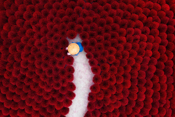 Drone view of a worker walking a narrow gray aisle between dense fields of red incense bundles, seen from directly above.