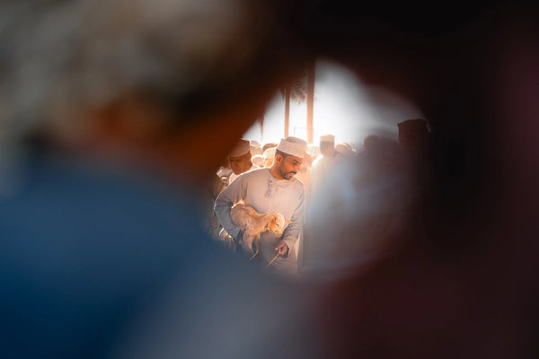 Candid scene at an Omani livestock market, seen through a soft foreground frame, with a man carrying a small goat in warm morning light.