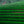 Lateral view of vivid green rice terraces at Mu Cang Chai, Vietnam, with a single person in white walking along a contour.
