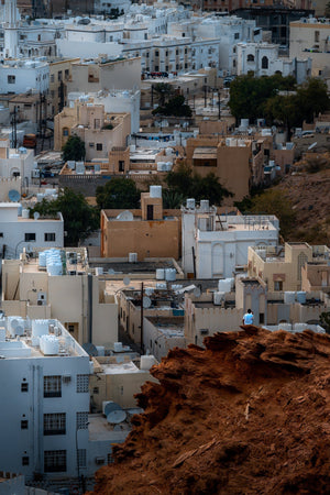 City Sentinel - Fine Art Photography by Sylvere Clerempuy Photography
