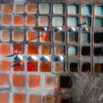 Crimson Brine Blue Brine