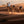Medium telephoto of a rider guiding camels down a sunlit dune in Oman, sand kicking up behind their feet.