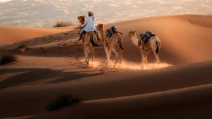 Dust of the Dune - Fine Art Photography by Sylvere Clerempuy Photography