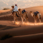 Dust of the Dune