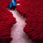 Guiding the Crimson Tide