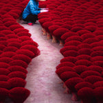 Guiding the Crimson Tide
