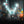Luminous Echoes of Osaka