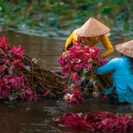Passing the Blossoms