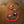 Drone image of workers guiding an S-shaped chain of pink water lilies across calm brown river water.