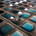 Sculptors of the Crystalline Pools
