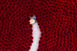 Drone view of a worker walking a narrow gray aisle between dense fields of red incense bundles, seen from directly above.