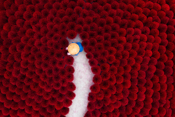 Drone view of a worker walking a narrow gray aisle between dense fields of red incense bundles, seen from directly above.