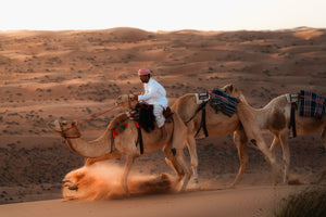 Close action of a rider on a camel at the top of a dune in Oman, hooves throwing a dramatic plume of sand.