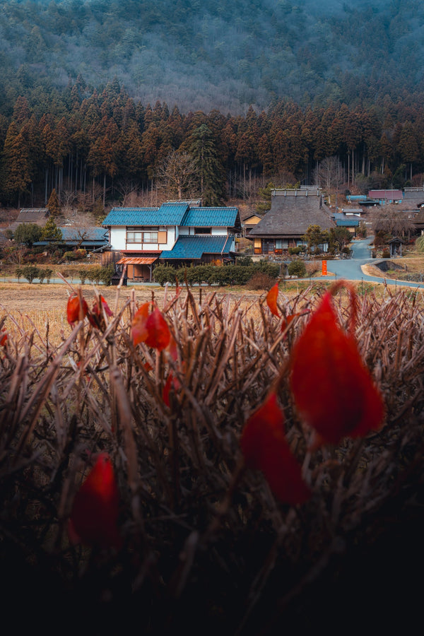 The Sapphire Haven - Fine Art Photography by Sylvere Clerempuy Photography