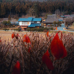 The Sapphire Haven