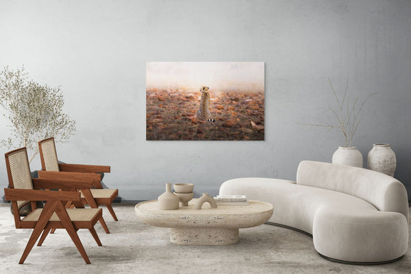 A Comet Waiting to Fall - Fine Art Photography by Sylvere Clerempuy Photography