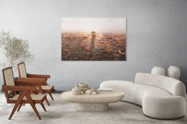 A Comet Waiting to Fall - Fine Art Photography by Sylvere Clerempuy Photography