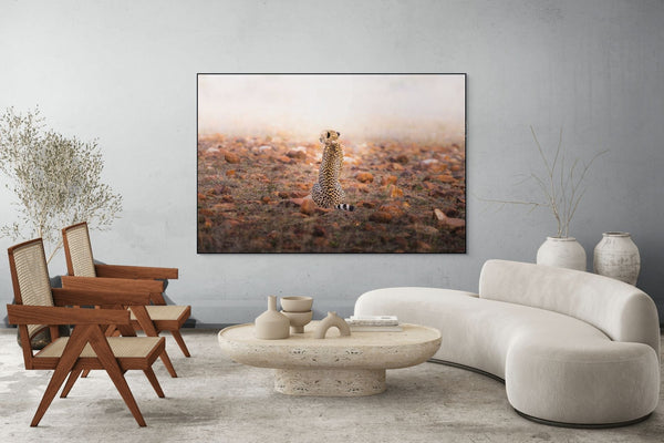 A Comet Waiting to Fall - Fine Art Photography by Sylvere Clerempuy Photography