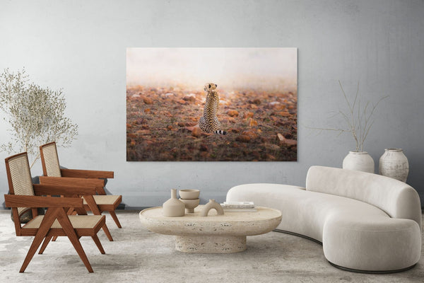 A Comet Waiting to Fall - Fine Art Photography by Sylvere Clerempuy Photography