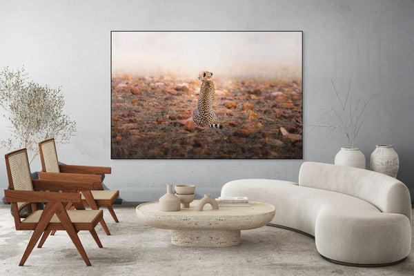 A Comet Waiting to Fall - Fine Art Photography by Sylvere Clerempuy Photography
