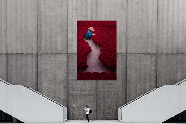 Guiding the Crimson Tide