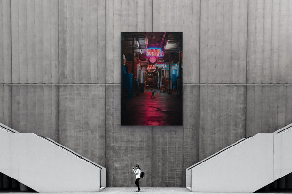 Stray Guardian of the Neon Path - Fine Art Photography by Sylvere Clerempuy Photography