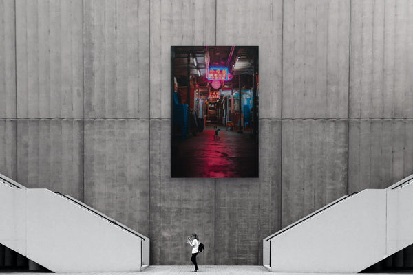 Stray Guardian of the Neon Path
