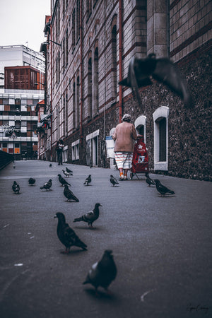 Grandma Causaly walking surrounded by pigeons in Paris, France.  Fine Art Limited Edition of 28. Photo © Copyright by Sylvère Clerempuy.
